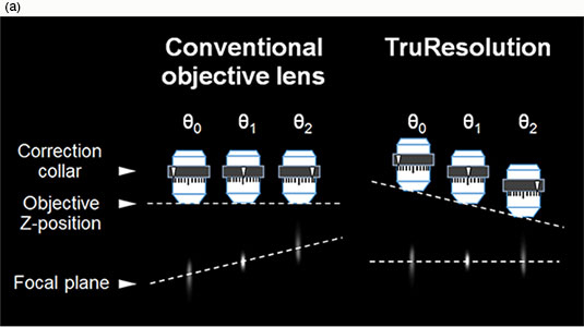 Figure 2: Change of focal plane by rotating correction collar. In case of conventional objective lens, focal plane changes by rotating the correction collar.