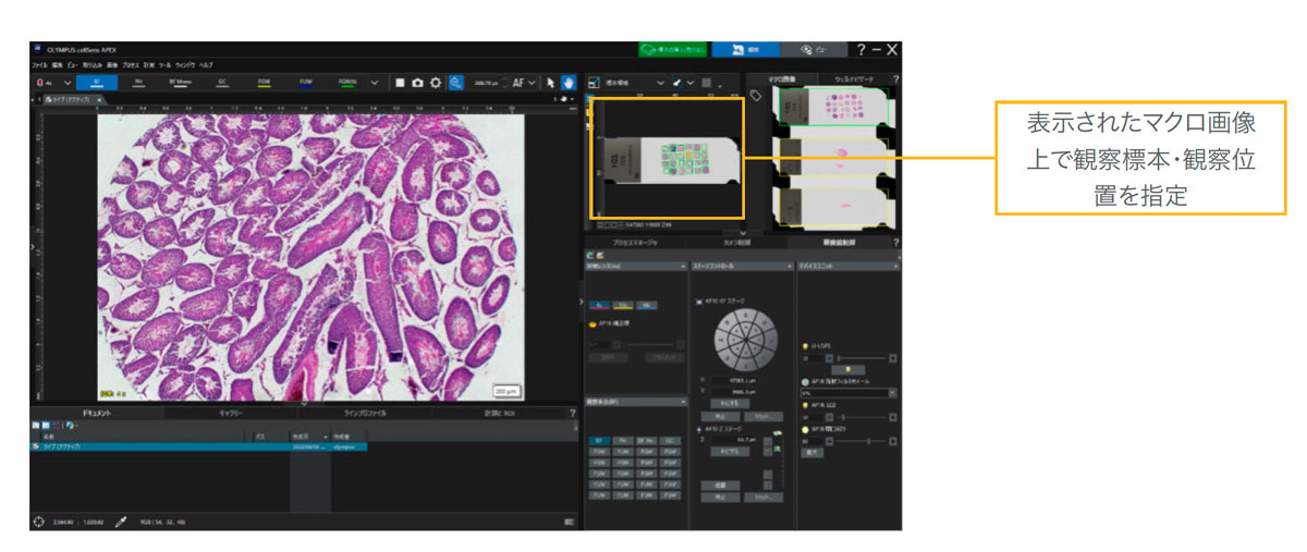 図4.cellSens APEXのGUI
