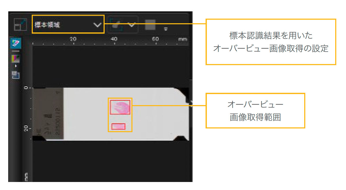 図5.画像認識結果を用いたオーバービュー画像取得範囲の指定