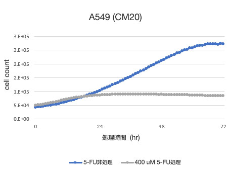 CM20により定量した細胞数