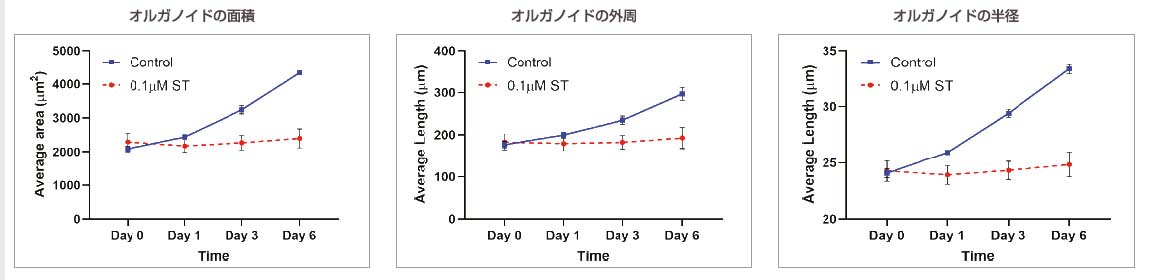 図3：対照：n=370、0.1 μM ST：n=234。非添加オルガノイドと0.1 μMのST添加オルガノイドで比較したオルガノイドのサイズに関連するパラメーターの経時的変化。