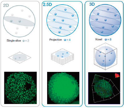 图1 (从左到右)：2D、2.5D和3D分析示意图。