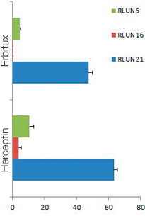 抗体阳性体积（％）