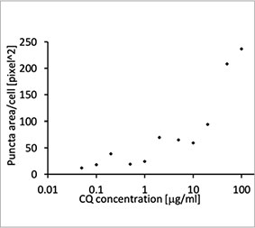图1 C：每个细胞点状面积随CQ浓度增加而增加的曲线。
