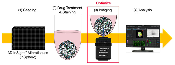 Drug evaluation workflow