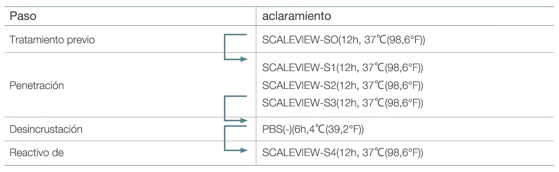 Tabla 1. Protocolo SCALEVIEW-S original