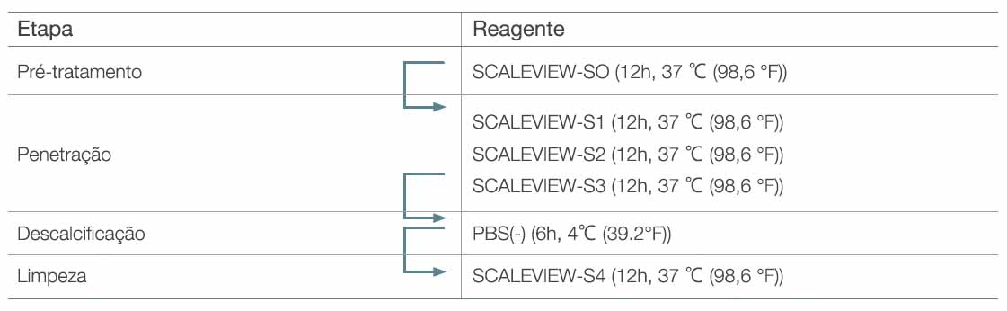 Tabela 1. Protocolo SCALEVIEW-S original