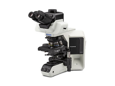 System Microscope BX53