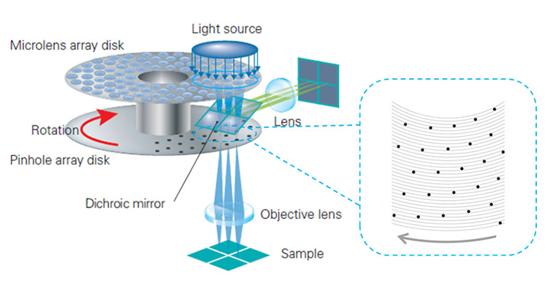 转盘共聚焦显微镜的光学系统示意图(a)完整结构
