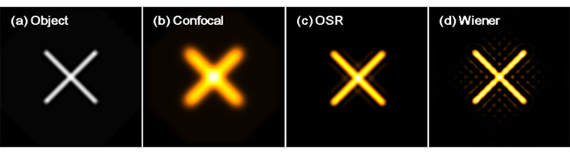 图4.（a）成像分辨率的结果。共聚焦荧光显微镜成像（b）；使用OSR滤波器的图像（c）;使用维纳滤波器（d）的图像。