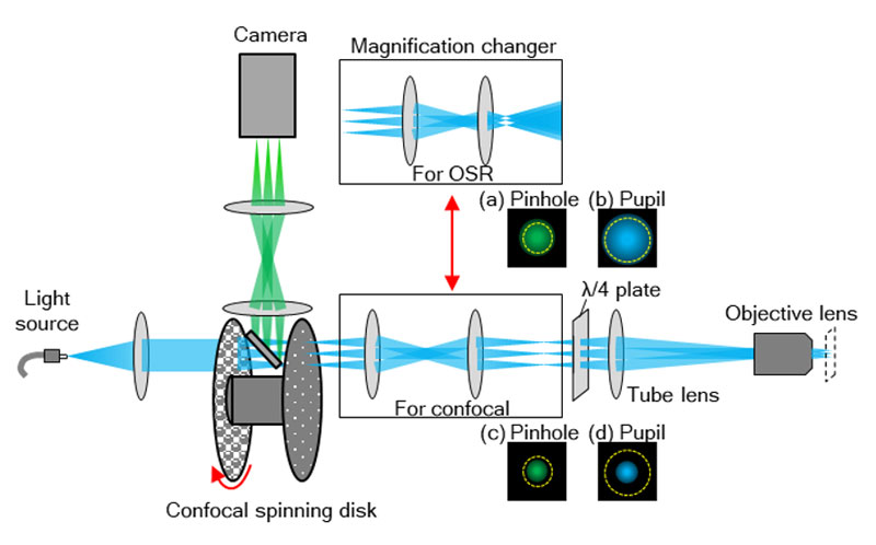 图8.设备组件的结构。根据用途切换光学放大系统。为使用OSR进行观察，使用了可优化针孔大小并占据物镜整个光瞳的放大系统。对于共聚焦观察，使用了可在更宽视场范围内进行观察的放大系统。