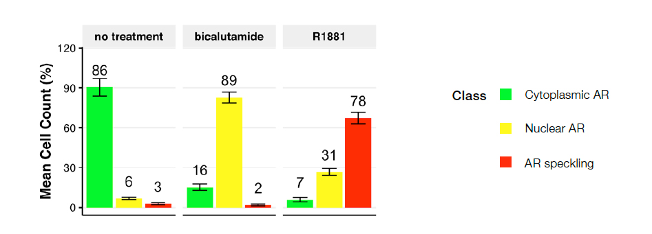 图 4：以下条件下的细胞类分布：空白对照（左）、比卡鲁胺（中）或 R1881（右）。该图反映了分类为 1 类（细胞质 AR）、2 类（核 AR）和 3 类（散斑 AR）的细胞所占百分比。空白对照产生的基本上是 1 类细胞。比卡鲁胺（AR 拮抗剂）诱导向 2 类的转变，R1881（AR 激动剂）诱导向 3 类的转变，活性 AR 局限在转录活性位点。