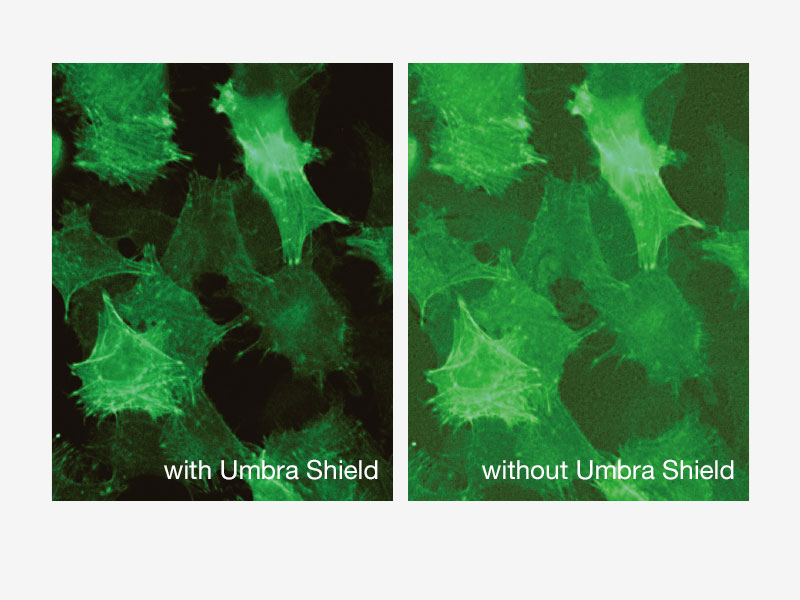 Comparison of with and without Umbra Shield