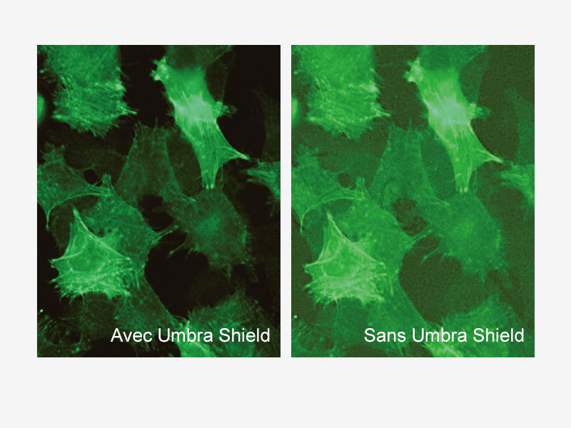 Comparaison avec et sans écran anti-lumière Umbra Shield