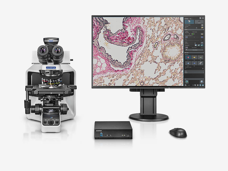 スタンドアローン組み合わせ