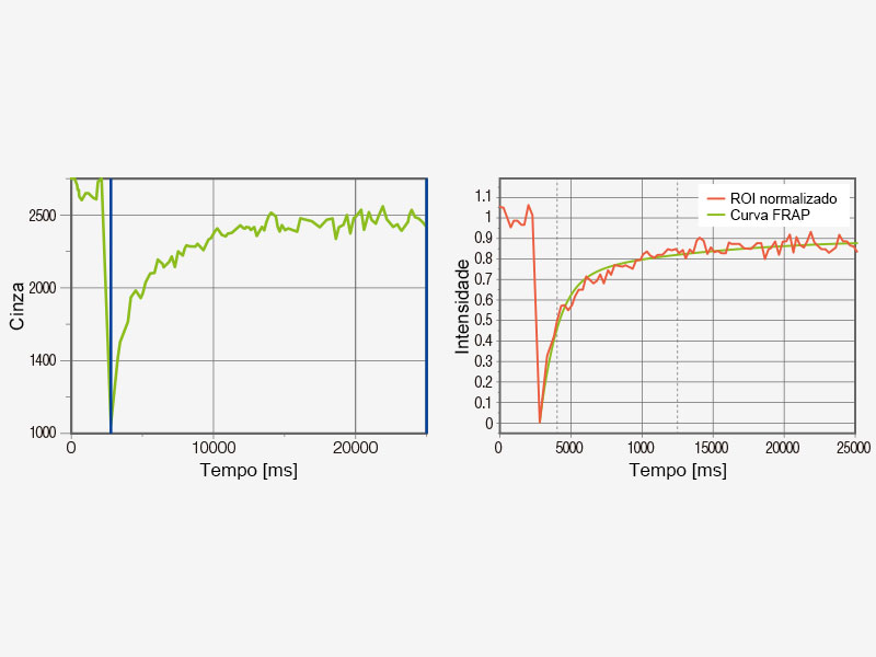 Exemplo de análise de FRAP