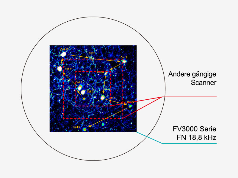 Zwei Scanneroptionen