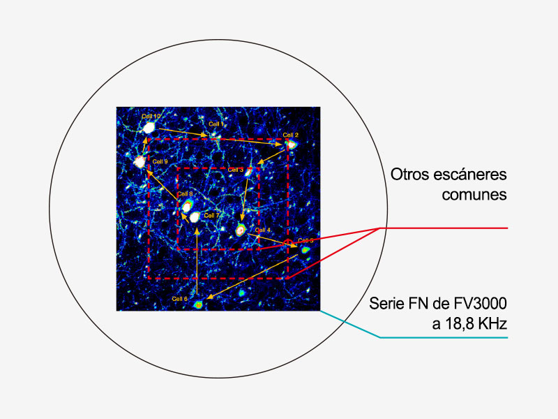 Dos opciones de escáner
