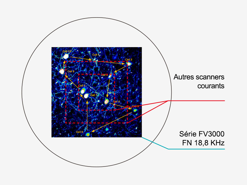 Options à deux scanners