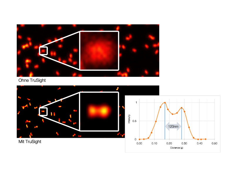 Bild eines GATTA-SIM Nano-Lineals