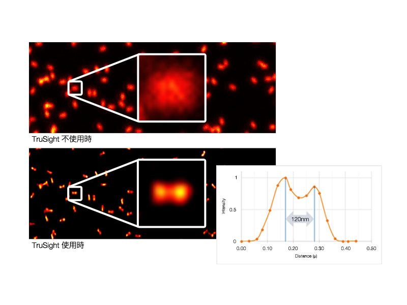 GATTA-SIM nanoruler（SIM 120B, GATTAquant GmbH）の画像