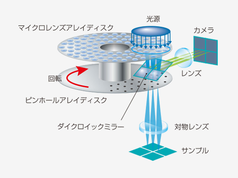 スピニングディスク共焦点光学系