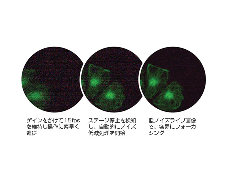簡単かつ高品質な蛍光イメージング