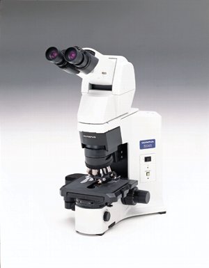 奥林巴斯BX45显微镜