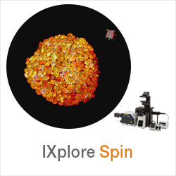 IXplore Spin