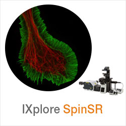 IXplore SpinSR
