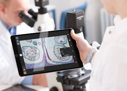 Return to the Lab Guide