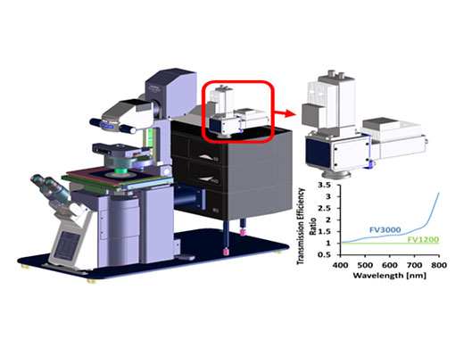 Additional two-channel near-infrared detectors