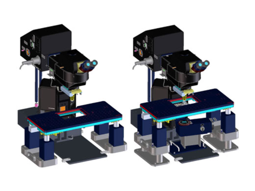 In vivo riser system