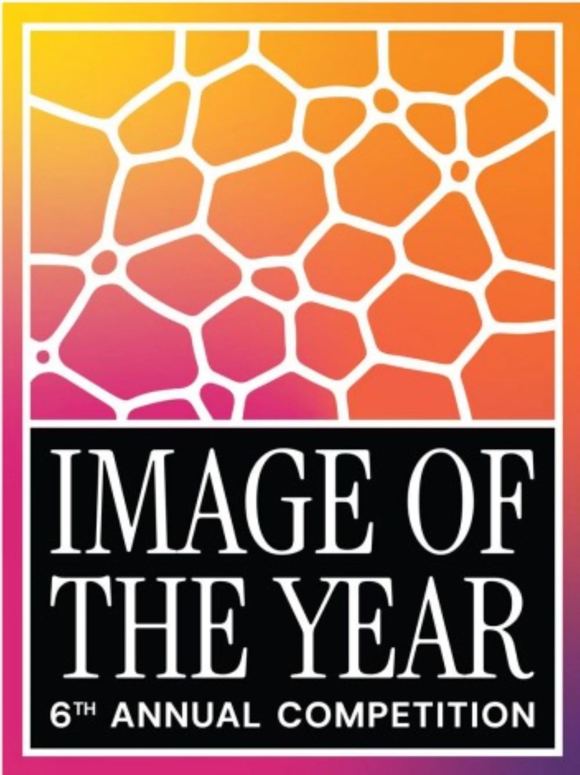 Announcing the winners of the 6th annual Image of the Year contest
