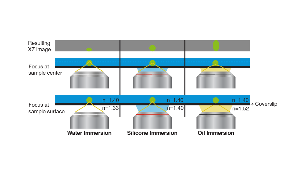 Discover Your Sample’s True 3D Form