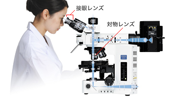 意外と知らない、ピントとズーム2