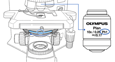 コンデンサターレットのPh合わせ