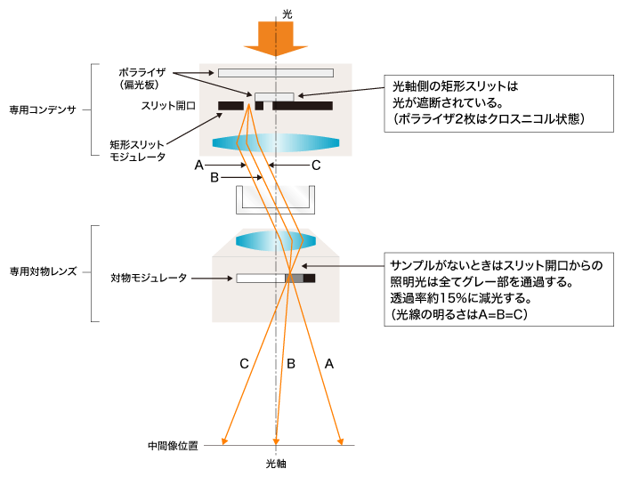 図5 レリーフコントラスト観察の光路図／倒立顕微鏡（サンプルを置かない場合）