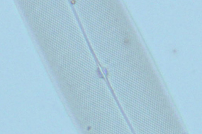 図6 分解能が十分