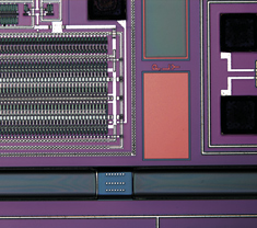 図4 金属顕微鏡の観察例