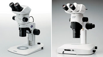 図5 実体顕微鏡