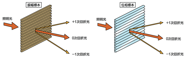 図8 標本による回折