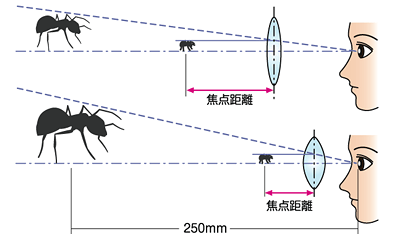 図9 単レンズの厚さによる拡大率の違い
