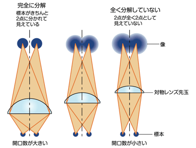 図1 開口数と分解能の関係