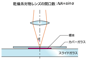 図2 乾燥系対物レンズの開口数