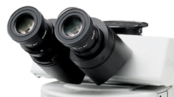 図10 鏡筒（左側スリーブ視度調整用ヘリコイド付き）