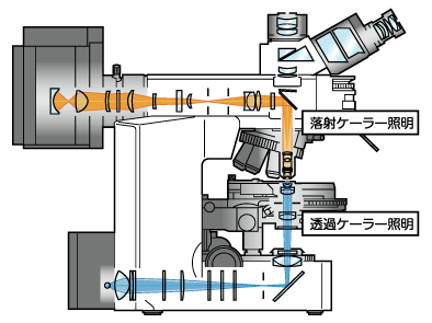 図1 ケーラー照明原理図