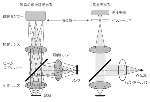 図1 通常の顕微鏡光学系と共焦点光学系の比較 図1 通常の顕微鏡光学系と共焦点光学系の比較
