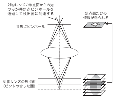 図2 共焦点効果の概念図 図2 共焦点効果の概念図