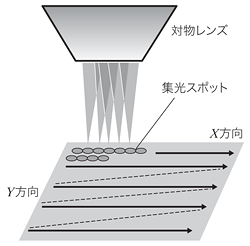図5 レーザービーム走査による画像形成概念図
